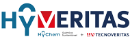 Hyveritas Logo 20230518